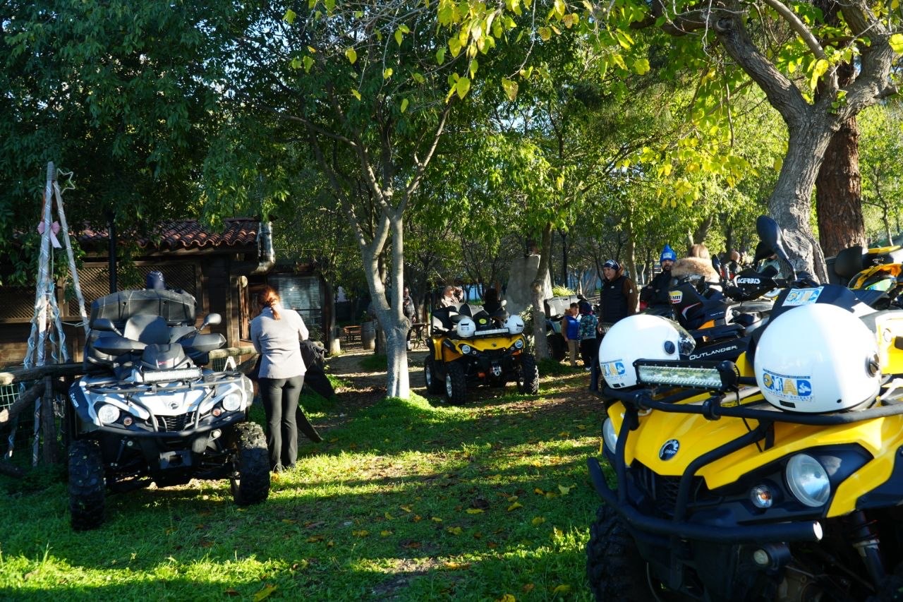 Quad Can-Am schierati tra gli alberi al punto di ritrovo