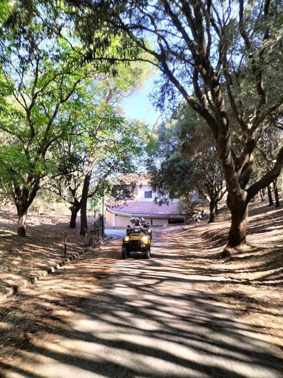 Tour Verde — foto 12